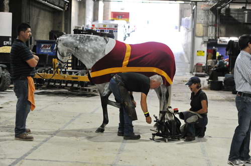WIHS2-2010-WEG_0481-DDeRosaPhoto.jpg