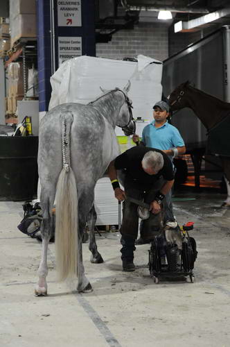 WIHS2-2010-WEG_0653-DDeRosaPhoto.jpg