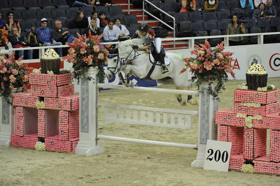 WIHS-10-27-11-Cl211-Gambler-5583-Gucci-EmilieMartinsen-DDeRosaPhoto.JPG
