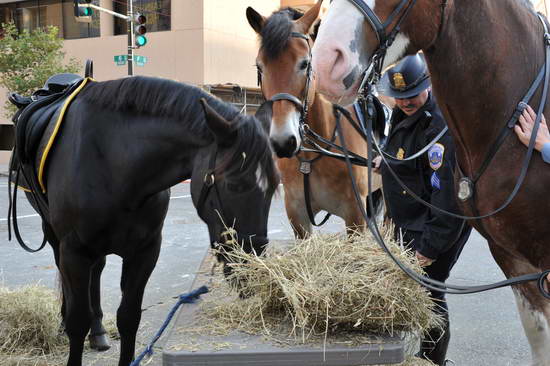 WIHS2-10-26-11-Breakfast-Police-0732-DDeRosaPhoto.JPG