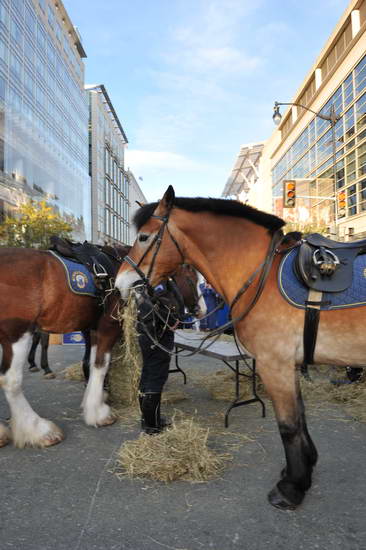 WIHS2-10-26-11-Breakfast-Police-0753-DDeRosaPhoto.JPG