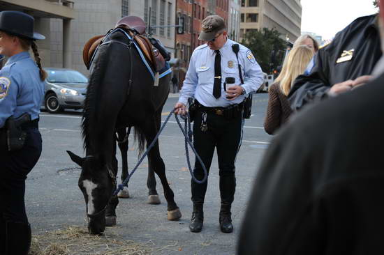WIHS2-10-26-11-Breakfast-Police-8995-DDeRosaPhoto.JPG