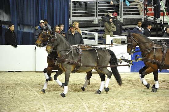 WIHS4-10-28-11-ChesterWeber-0993-DDeRosaPhoto.JPG