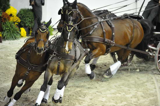 WIHS4-10-28-11-ChesterWeber-1019-DDeRosaPhoto.JPG