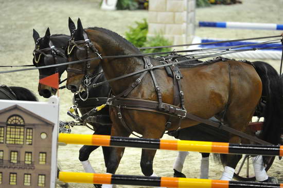 WIHS4-10-28-11-ChesterWeber-1030-DDeRosaPhoto.JPG
