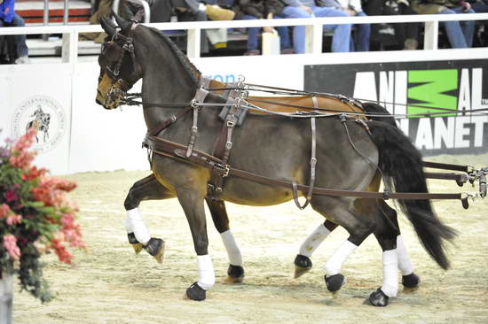 WIHS4-10-28-11-ChesterWeber-1032-DDeRosaPhoto.JPG