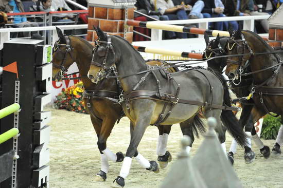 WIHS4-10-28-11-ChesterWeber-1036-DDeRosaPhoto.JPG