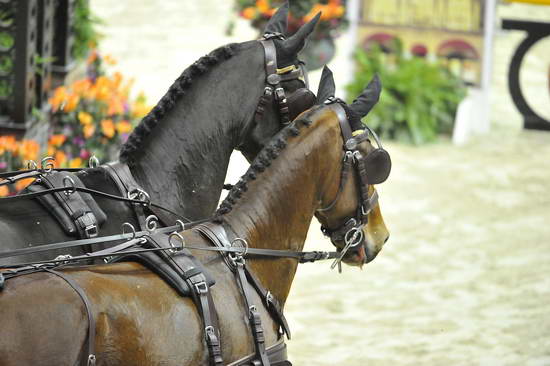 WIHS4-10-28-11-ChesterWeber-1040-DDeRosaPhoto.JPG