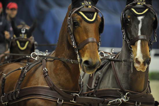 WIHS4-10-28-11-ChesterWeber-4203-DDeRosaPhoto.JPG