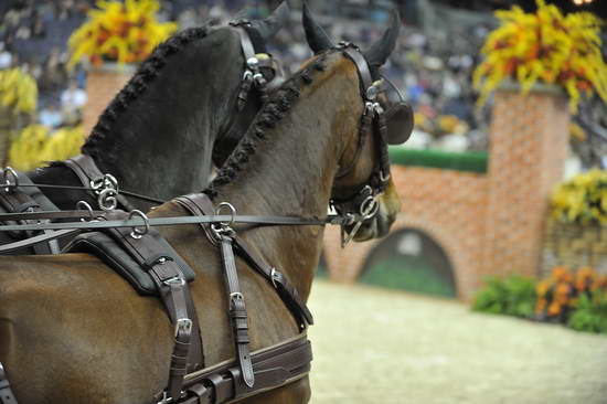 WIHS4-10-28-11-ChesterWeber-4205-DDeRosaPhoto.JPG