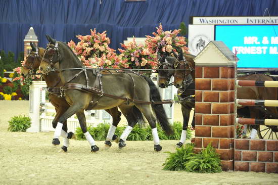 WIHS4-10-28-11-ChesterWeber-4208-DDeRosaPhoto.JPG