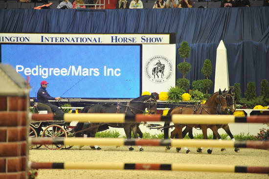WIHS4-10-28-11-ChesterWeber-4220-DDeRosaPhoto.JPG