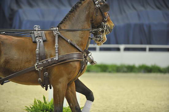 WIHS4-10-28-11-ChesterWeber-4255-DDeRosaPhoto.JPG