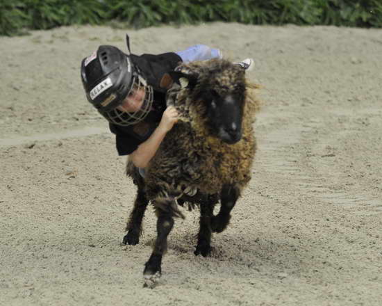 WIHS3-10-27-11-MuttonBusting-2543-DDeRosaPhoto.JPG