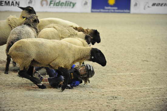 WIHS3-10-27-11-MuttonBusting-2640-DDeRosaPhoto.JPG
