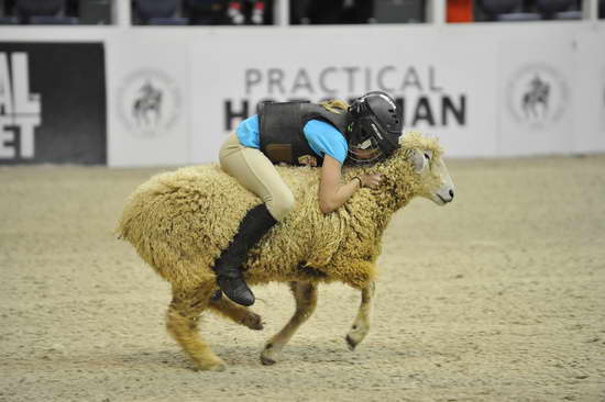WIHS3-10-27-11-MuttonBusting-2659-DDeRosaPhoto.JPG