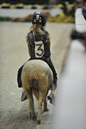 WIHS3-10-27-11-MuttonBusting-2745-DDeRosaPhoto.JPG