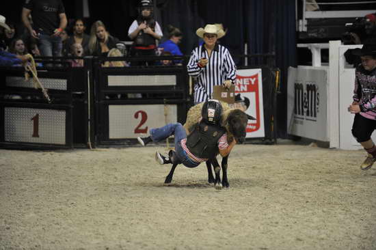WIHS3-10-27-11-MuttonBusting-2799-DDeRosaPhoto.JPG
