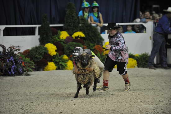 WIHS3-10-27-11-MuttonBusting-2822-DDeRosaPhoto.JPG