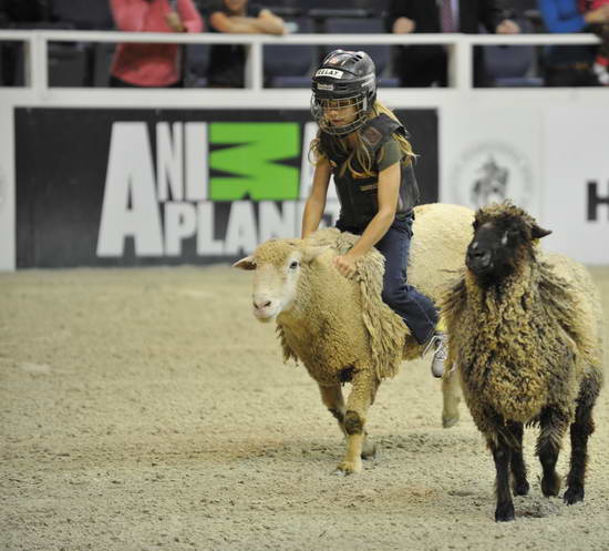WIHS3-10-27-11-MuttonBusting-2727-DDeRosaPhoto.JPG