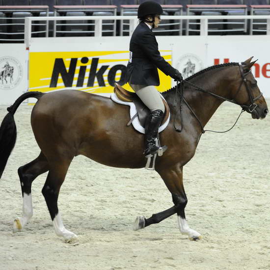 WIHS1-10-25-11-Cl62-AOHtrO35-DSC_7604-Cezanne-PenelopeAyers-DDeRosaPhoto.JPG