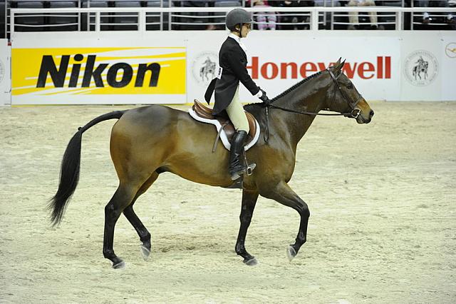 WIHS-10-25-11-Cl186ChHtrCH-DSC_7894-Sturgis-CatherineDipietro-DDeRosaPhoto.JPG