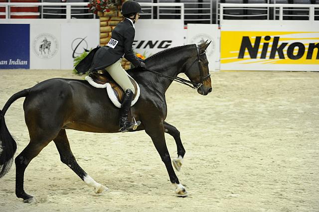 WIHS-10-25-11-Cl186ChHtrCH-DSC_7952-Cheyenne-SamanthaGajoch-DDeRosaPhoto.JPG