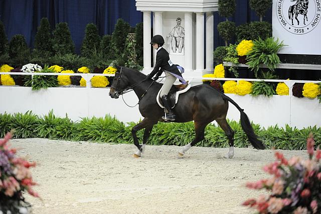 WIHS-10-25-11-Cl186ChHtrCH-DSC_8033-Charisma-KatherineMurphy-DDeRosaPhoto.JPG