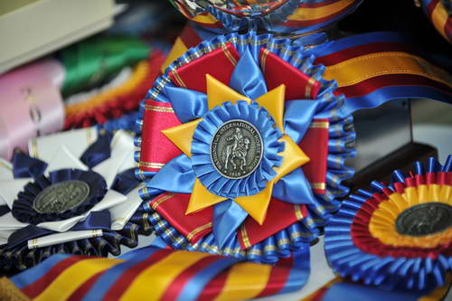 Awards-WIHS2-10-26-11-0902-DDeRosaPhoto