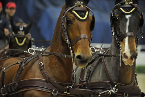 Driving-WIHS6-10-29-11-ChesterWeber-4203-DDeRosaPhoto