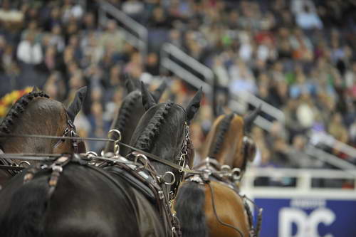 Driving-WIHS6-10-29-11-ChesterWeber-4241-DDeRosaPhoto