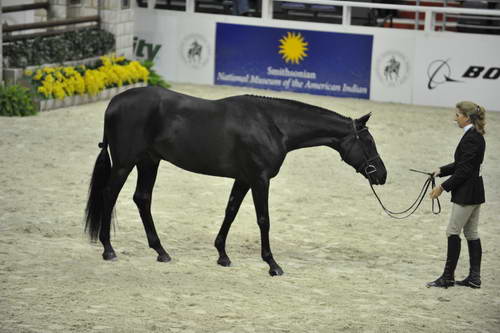 Model-WIHS1-10-25-11-Cl1GrCfHtrMod-0221-DDeRosaPhoto