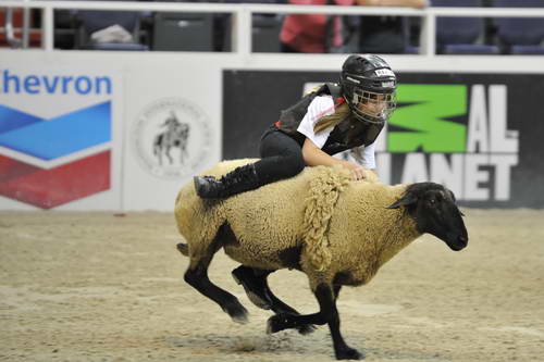 MuttonBusting-WIHS-10-27-11-2813-DDeRosaPhoto