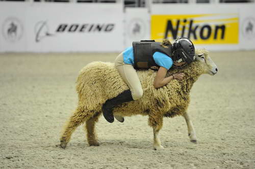 MuttonBusting-WIHS3-10-27-11-2664-DDeRosaPhoto