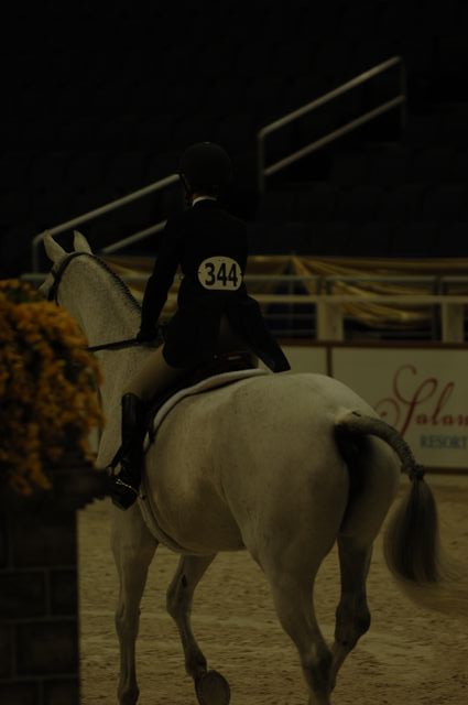 29-WIHS-KristenRohr-Platinum-10-25-05-ChildrensHtrs-DDPhoto.JPG