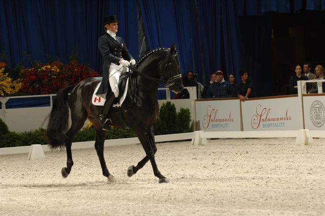 02-WIHS-AshleyHolzer-Gambol-Dressage-10-27-05-DDPhoto.JPG