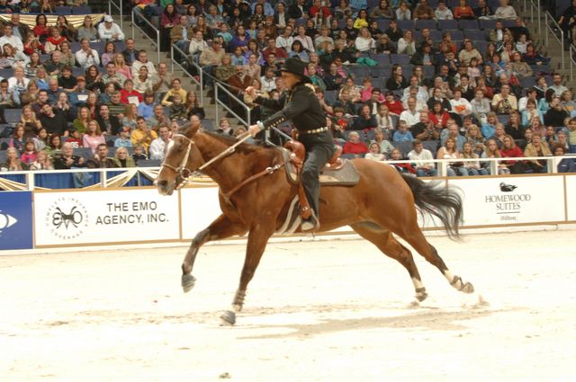 28-WIHS-JudyMerola-10-28-05-BarrelRacing-DDPhoto.JPG