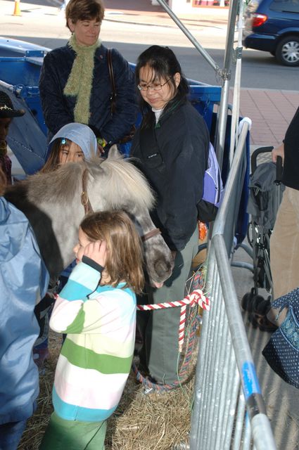 014-WIHS-PonyPavilion-10-29-05-DDPhoto.JPG