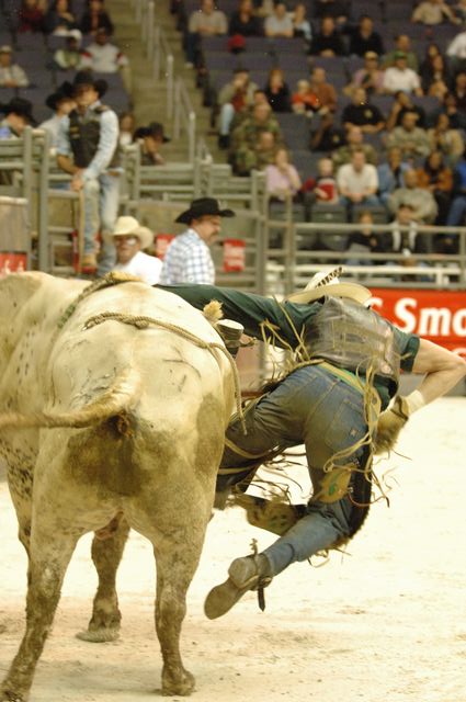 015-WIHS-10-23-06-BullRiding-DDPhoto.JPG