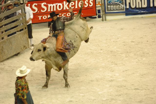 110-WIHS-10-23-06-BullRiding-DDPhoto.JPG