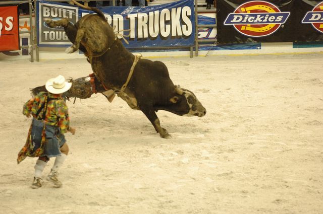 114-WIHS-10-23-06-BullRiding-DDPhoto.JPG