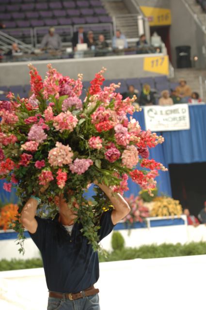 10-27-05-Flowers-DDPhoto.JPG