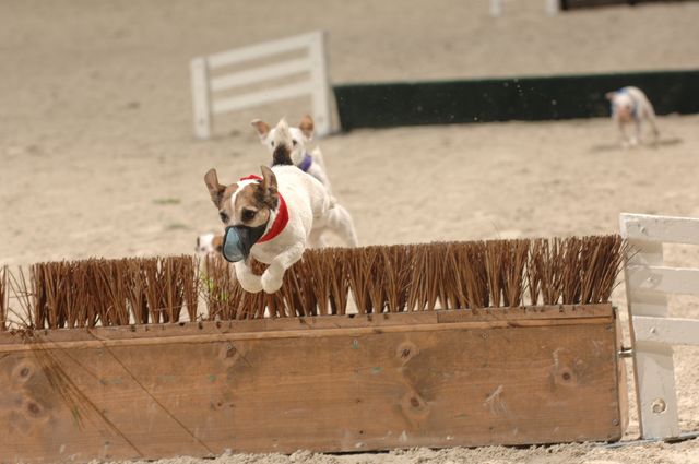 733-WIHS-10-27-06-&copy;DeRosaPhoto.JPG
