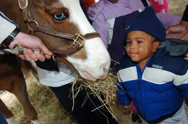 1176-WIHS-10-28-06-&copy;DeRosaPhoto.JPG