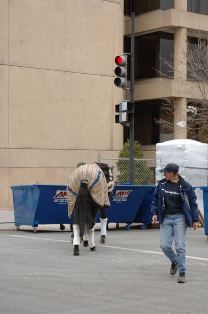 175-WIHS-10-23-06-&copy;DeRosaPhoto.JPG
