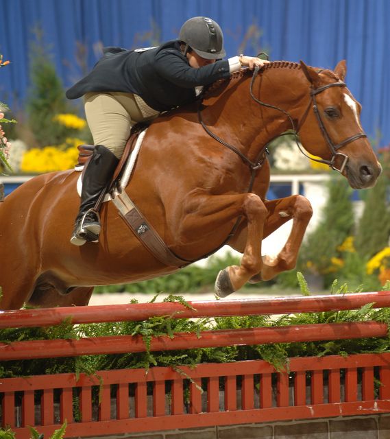 203-BridgetHallman-Hearsay-WIHS-10-25-06-&copy;DeRosaPhoto.jpg
