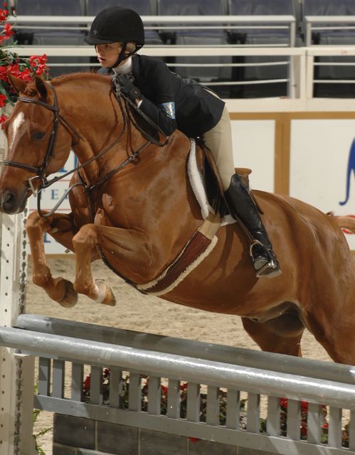 224-AliseOken-LandsEndMadHatter-WIHS-10-29-06-&copy;DeRosaPhoto.JPG