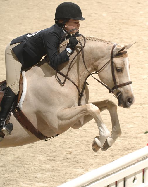 229-KatieDinan-KeepDreamin'-WIHS-10-29-06-&copy;DeRosaPhoto.JPG