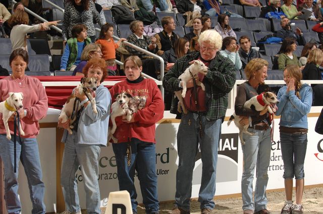 742-Terriers-WIHS-10-27-06-&copy;DeRosaPhoto.JPG
