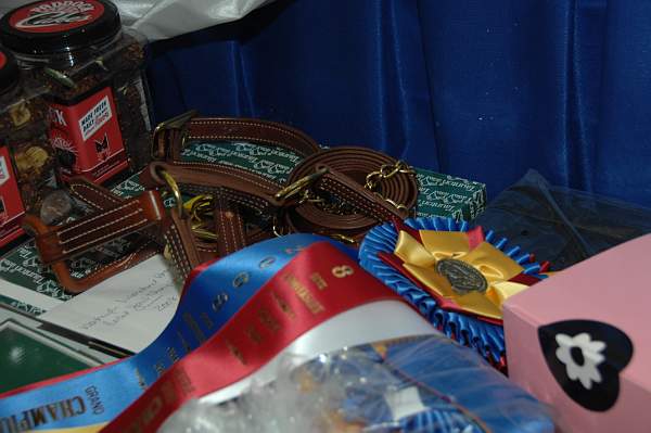 WIHS08-12-25-Awards-008-DDeRosaPhoto